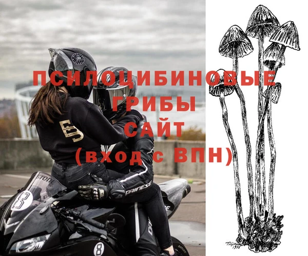 spice Нязепетровск