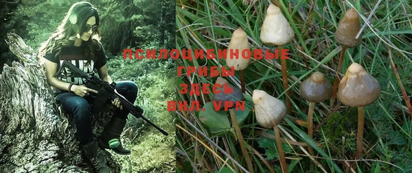 прущий лед Нягань